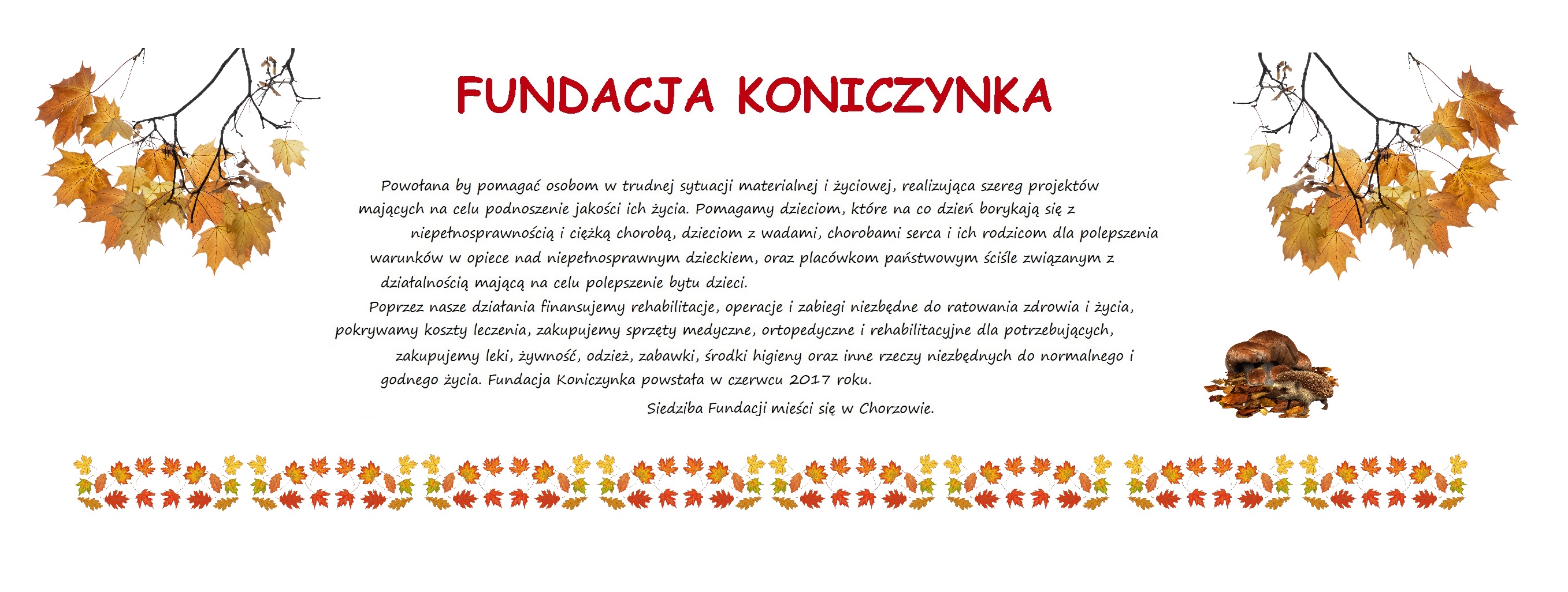 Baner Fundacji Koniczynka — slajd 1